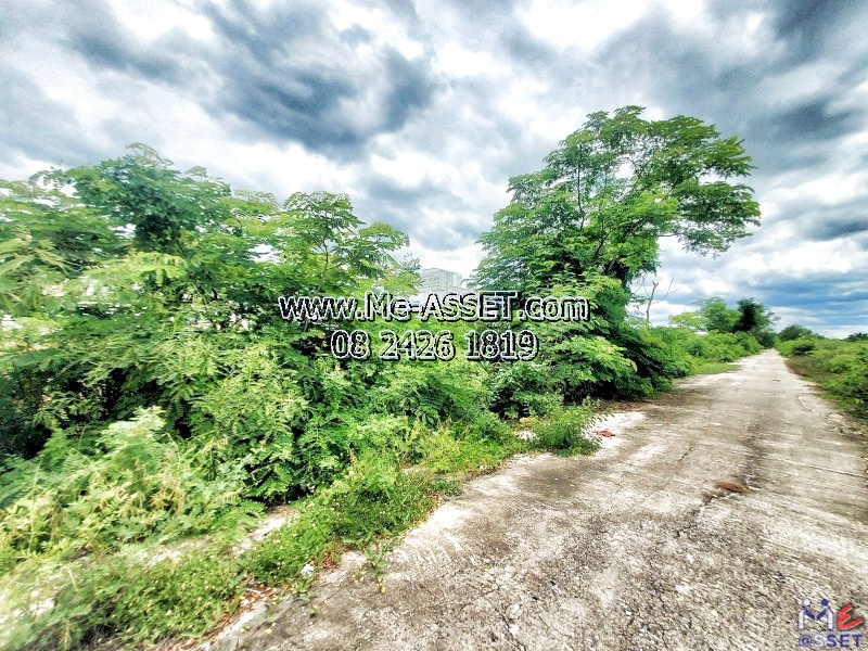 ขายที่ดินเปล่า ย่าน บึงทองหลาง ลำลูกกา คลอง11 : ใกล้บริษัทกิตติแมนูแฟคเจอร์ริ่ง : มี 5 แปลง / 100-200 ตร.วา / ราคาตารางวาละ 4,250 - 5,000 บาท