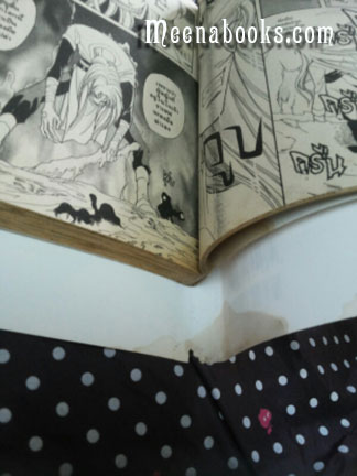 จอมคนแดนฝัน เล่ม 1-13 (13 เล่ม)
