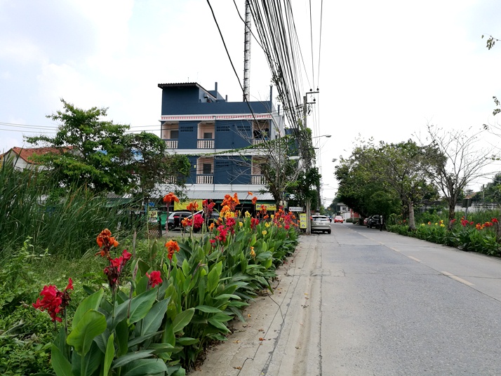 ขายที่ดินแปลงสวย 391 ตร.ว.ปากซ.นวมินทร์ 111 แยก 4-2 แปลงหัวมุม