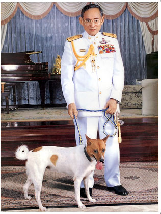 ในหลวงกับสุนัขทรงเลี้ยง