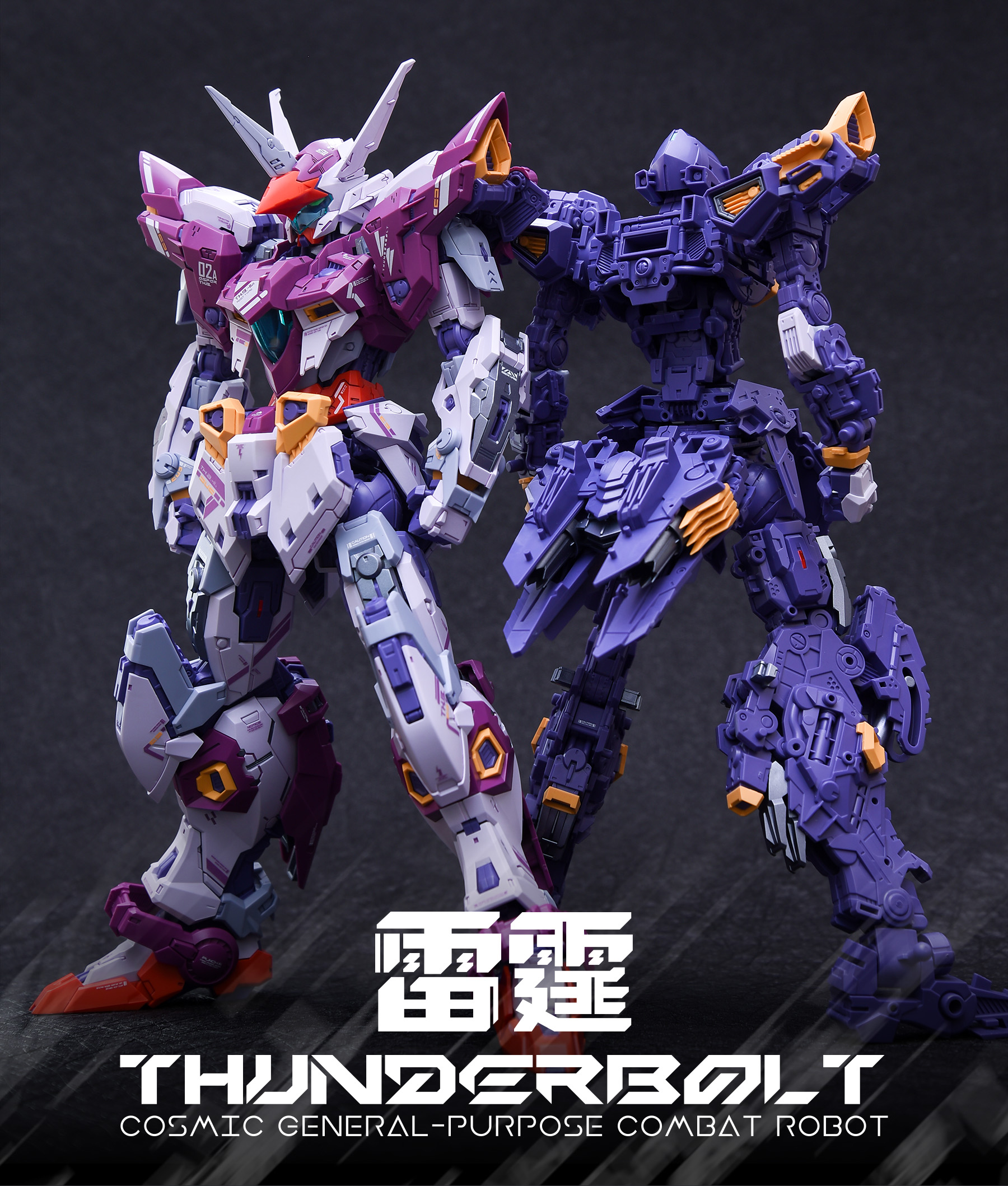 MG 1/100 THUNDERBOLT [INERA+]