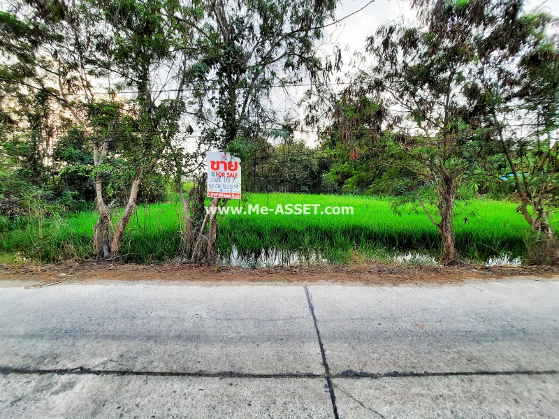 ขายที่ดินเปล่า ถ.ศาลายา-นครชัยศรี (งิ้วราย ซ.4) ต.งิ้วราย อ.นครชัยศรี นครปฐม / พื้นที่ 178 ตารางวา