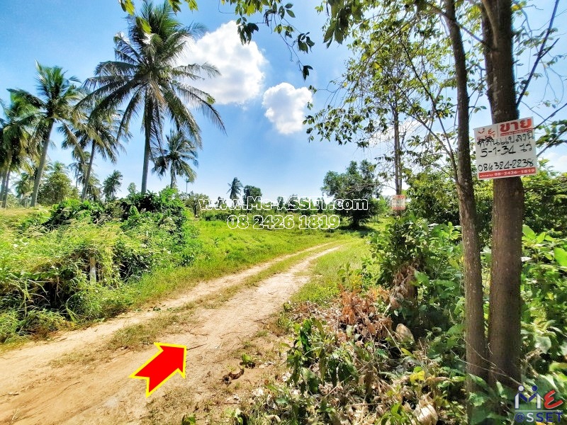 ขายที่ดินเกษตร ปลูกสวนยาง และต้นสัก ต.เกาะหลัก อ.เมือง ประจวบคีรีขันธ์ ใกล้อ่าวมะนาว : 5-1-34 ไร่