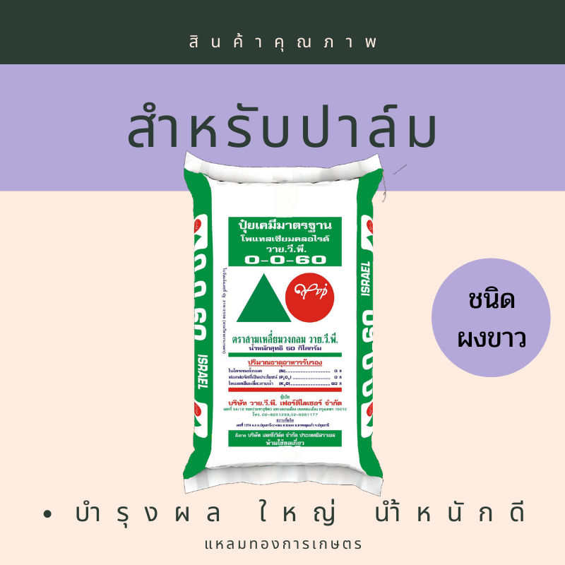 0-0-60 ผงขาว วาย.วี.พี. ตราสามเหลี่ยมวงกลม