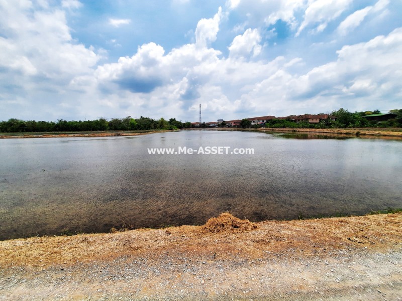 ขายที่ดินเปล่า ถ.เทพนิมิตร-ลานตากฟ้า ซ.ดาวทอง ต.ลานตากฟ้า อ.นครชัยศรี นครปฐม ถูกที่สุดในย่านนี้ / พื้นที่ 6 ไร่