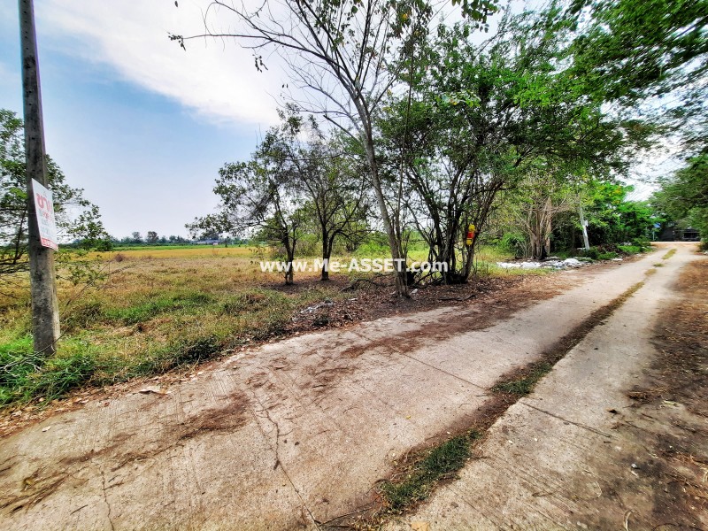 ขายที่ดินถมแล้ว ย่าน ดอนฉิมพลี บางน้ำเปรี้ยว วัดพืชอุดม ลำลูกกา คลอง 16 : ถ.ลำลูกกา คลอง 16 : 83.5 ตารางวา (มี 2 แปลงติดกัน)