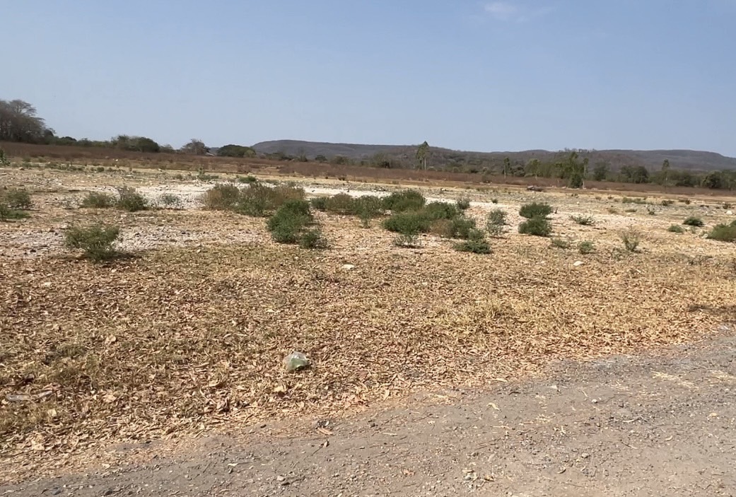 ขายที่ดินราคาถูก วิวสวยเนื้อที่ 87 ไร่ 2 งาน 45 ตารางวา หน้ากว้างติดถนนลาดยาง 580 เมตร สนใจซื้อที่ดิน ที่ดินเปล่า อสังหาทรัพย์เพื่อการลงทุน