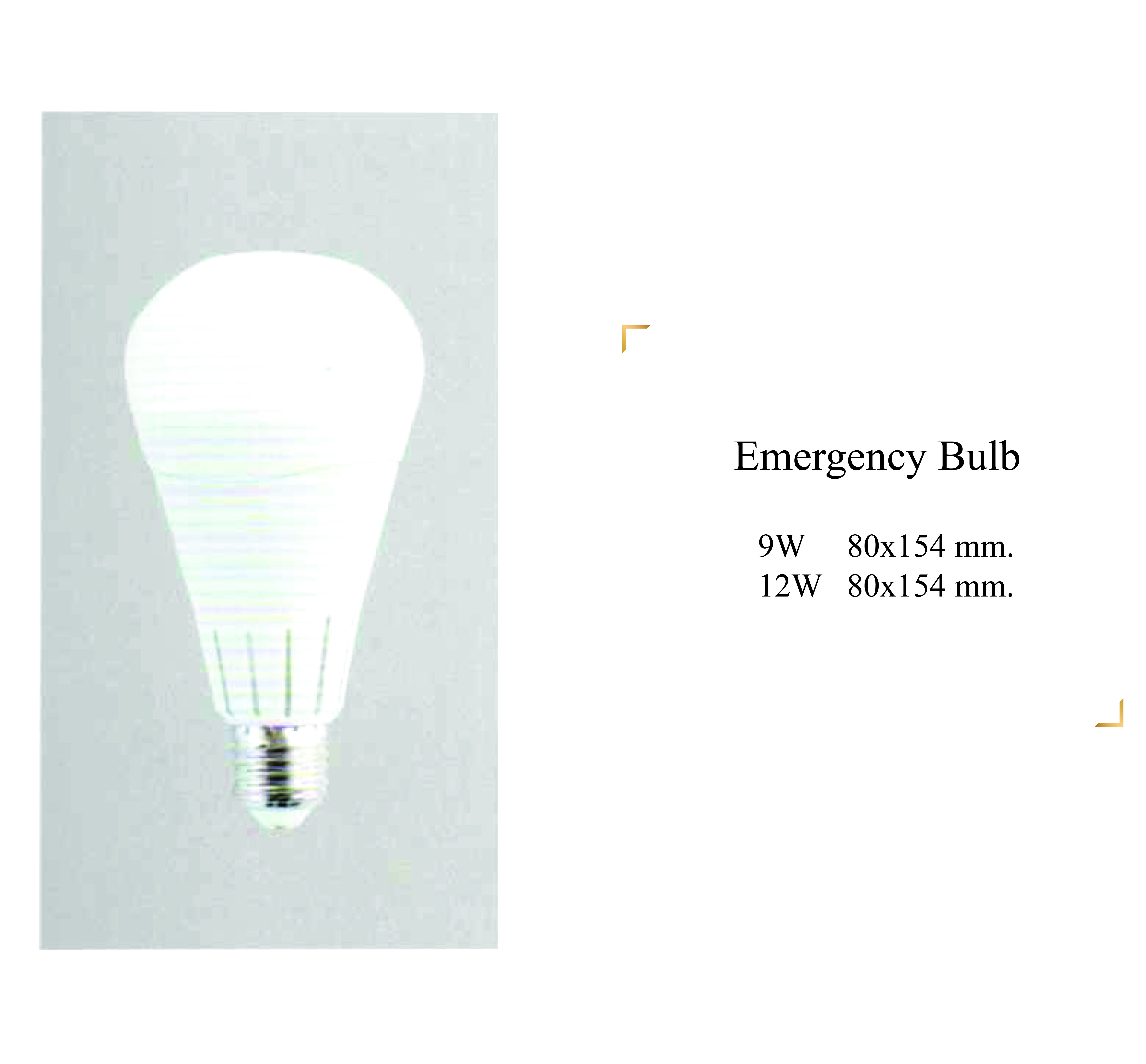 Emergency Bulb