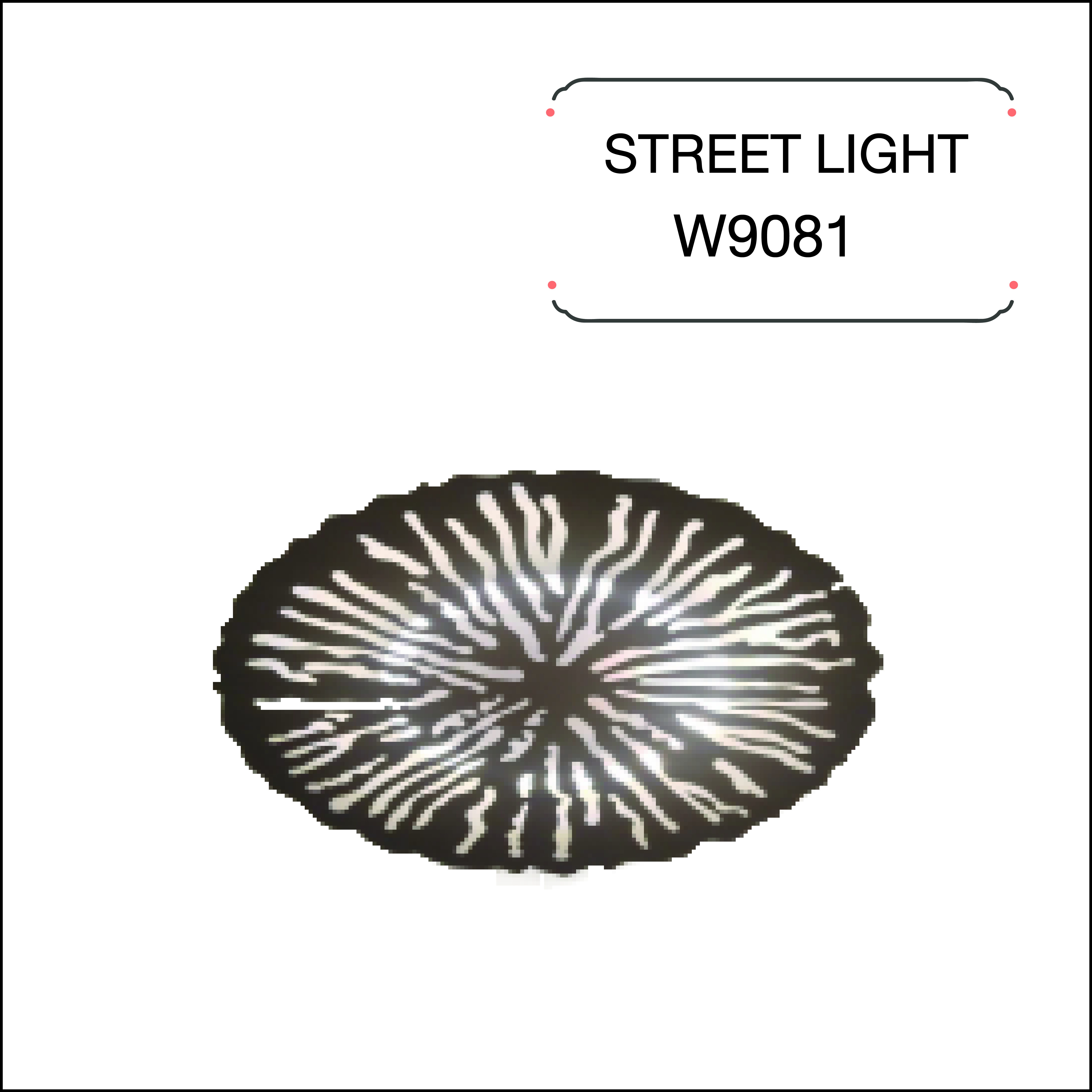 W9081