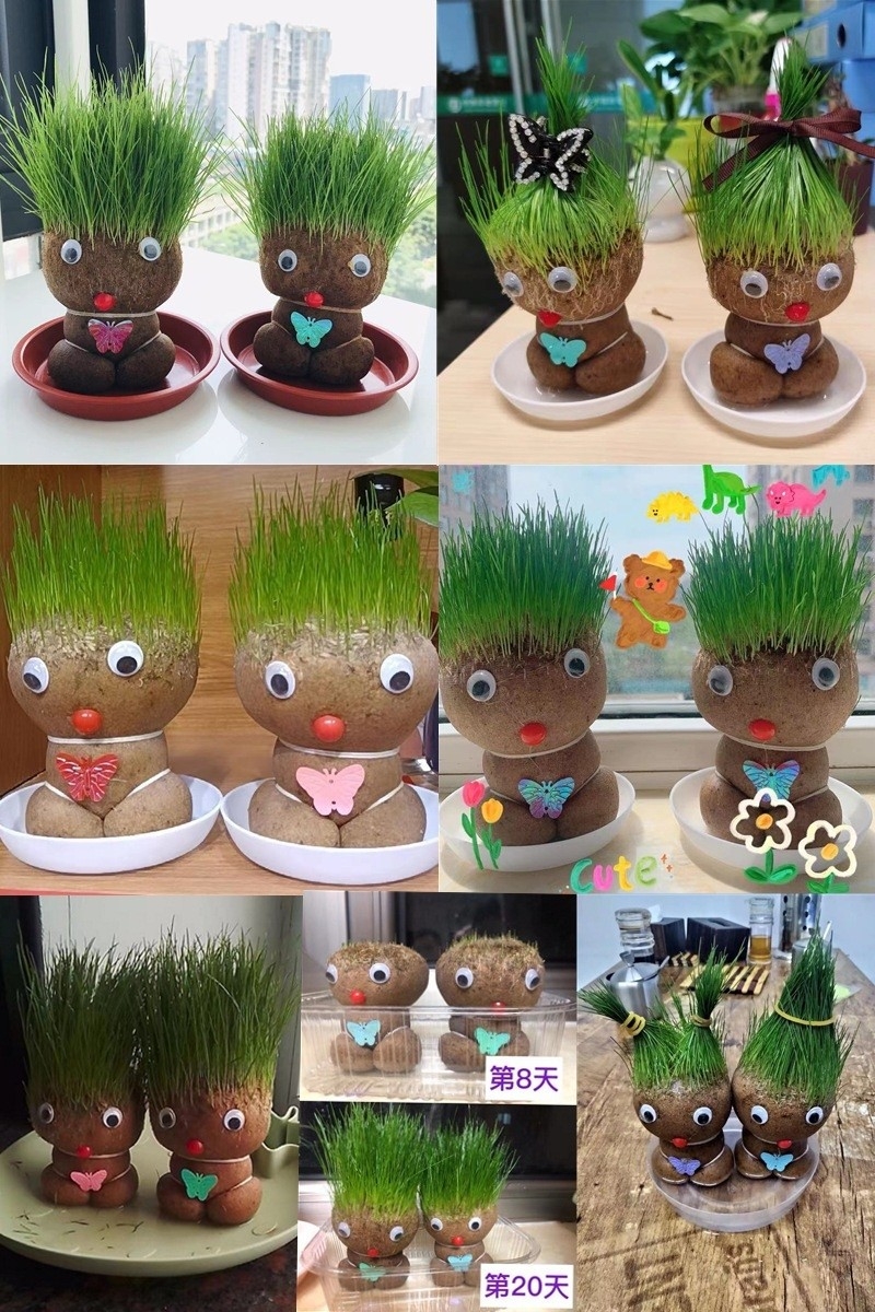 ตุ๊กตาต้นหญ้า