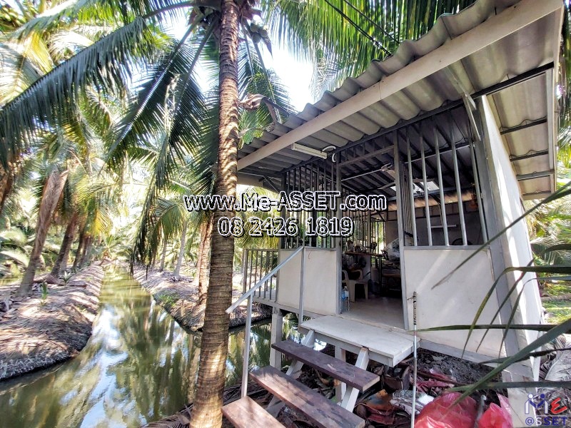 ขายที่ดินสวนมะพร้าวน้ำหอม ย่าน ทิมเรืองเวช หนองนกไข่ คลองจินดา บางช้าง สามพราน : ใกล้หมู่บ้านทิมเรืองเวช : 9-1-1 ไร่