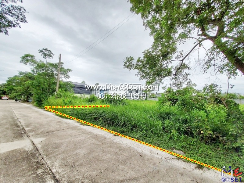 ขายที่ดินเปล่า ย่าน สามพราน ไร่ขิง นครชัยศรี บรมราชชนนี : ออมไทย : 100 ตร.วา