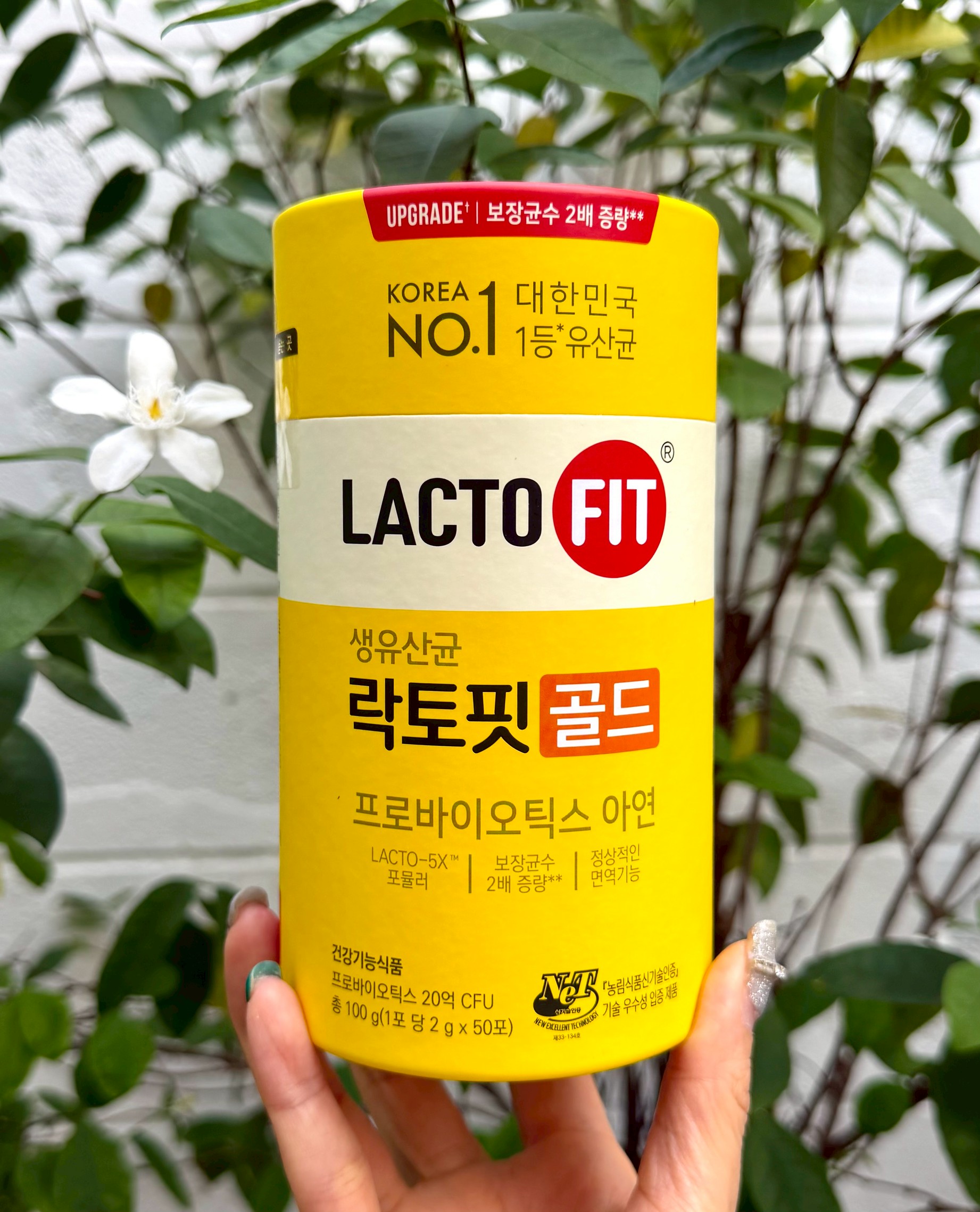 LACTO-FIT~ยอดขายอันดับ 1 จากเกาหลี (1กล่อง/บรรจุ50ซอง) อาหารเสริมช่วยขับถ่าย (1กระปุก)