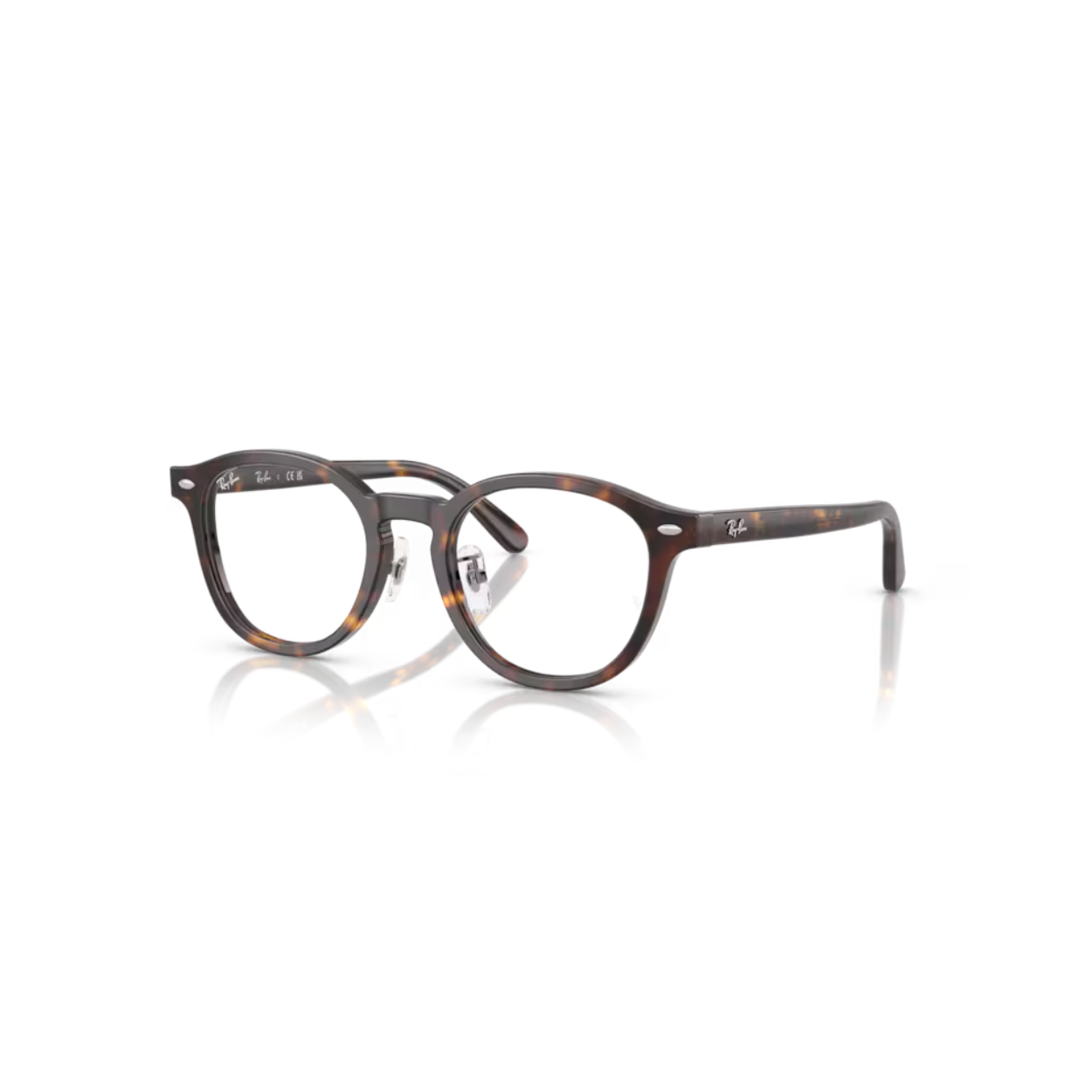กรอบแว่น RAYBAN RB5443D 2012 49