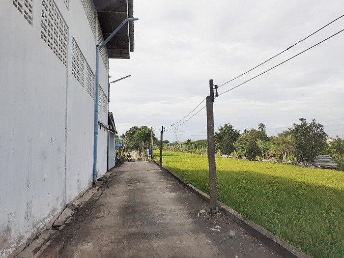 ขายที่ดินถมแล้ว ถ.บ้านกล้วย-ไทรน้อย ต.ไทรน้อย อ.ไทรน้อย นนทบุรี / พื้นที่ 100 ตารางวา