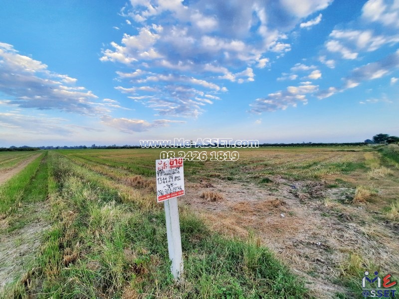 ขายที่ดินเกษตร ย่าน สนามคลี ตลิ่งชัน หนองศาลา หนองพันกง อำเภอเมือง สุพรรณบุรี : ใกล้ อบต.ตลิ่งชัน : 13-2-92.3 ไร่