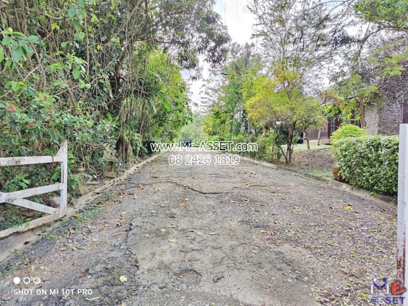 ขายบ้านเดี่ยว ย่าน เขาใหญ่ นิคมสร้างตนเอง มิตรภาพ มวกเหล็ก สระบุรี : ไอวี่คอทเทจบายคิวว์ Ivy Cottage by Qiu : 1 ชั้น 120 ตารางวา