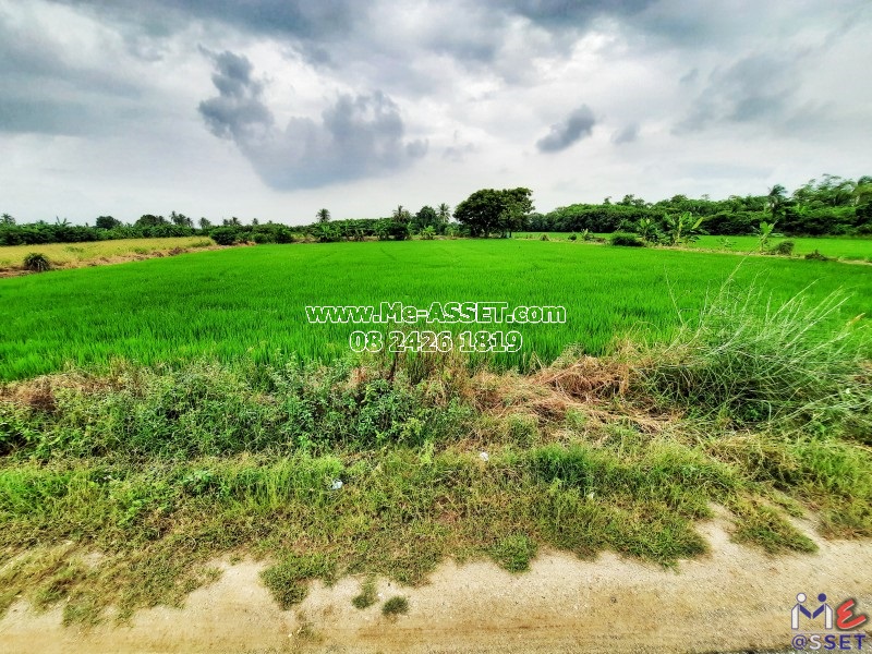 ขายที่ดินเปล่า ย่าน ลานตากฟ้า มหาสวัสดิ์ ดอนแฝก : ใกล้ ปายนาคาเฟ่ : 3-3-70 ไร่ มี 2 แปลงติดกัน