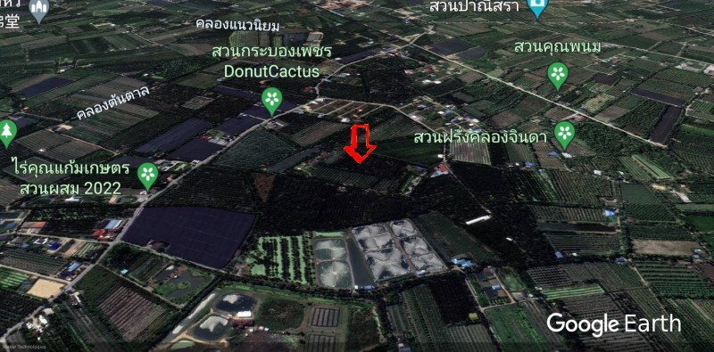 ขายที่ดินสวนมะพร้าวน้ำหอม ย่าน ทิมเรืองเวช หนองนกไข่ คลองจินดา บางช้าง สามพราน : ใกล้หมู่บ้านทิมเรืองเวช : 9-1-1 ไร่