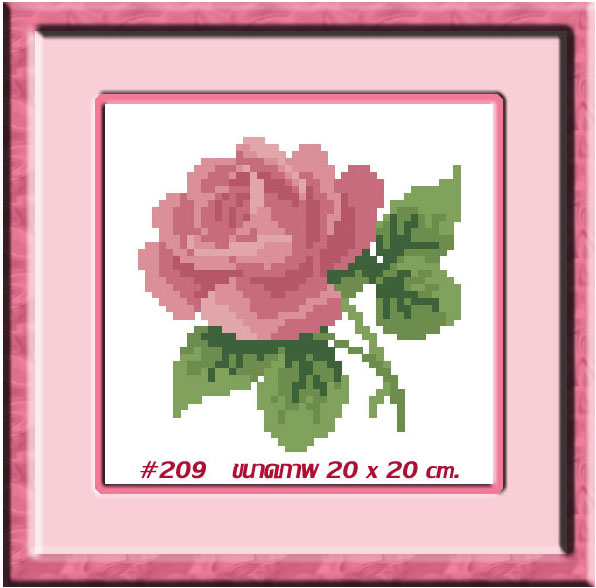 TMINI 209+กรอบ