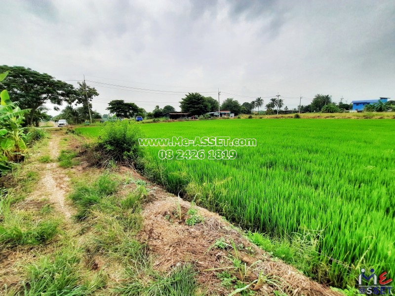 ขายที่ดินเปล่า ย่าน ลานตากฟ้า มหาสวัสดิ์ ดอนแฝก : ใกล้ ปายนาคาเฟ่ : 3-3-70 ไร่ มี 2 แปลงติดกัน