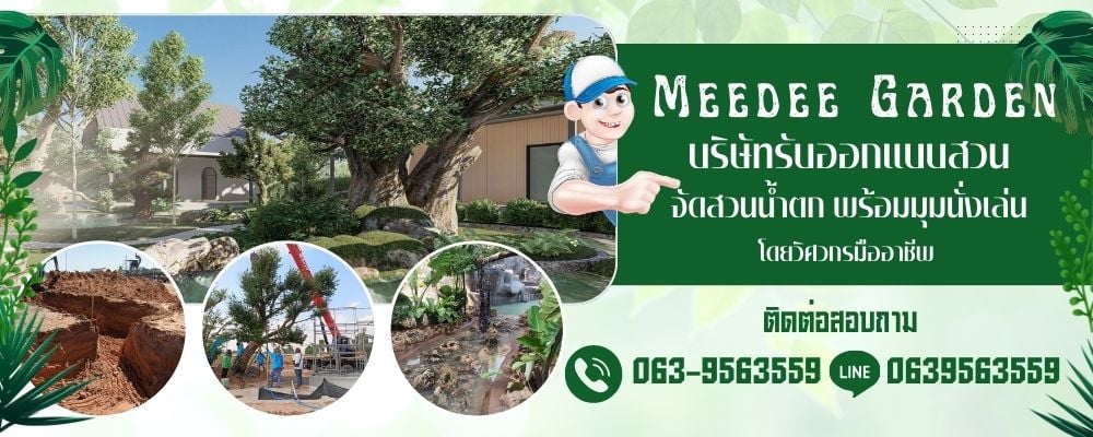 รับดูแลสวนใกล้ฉัน