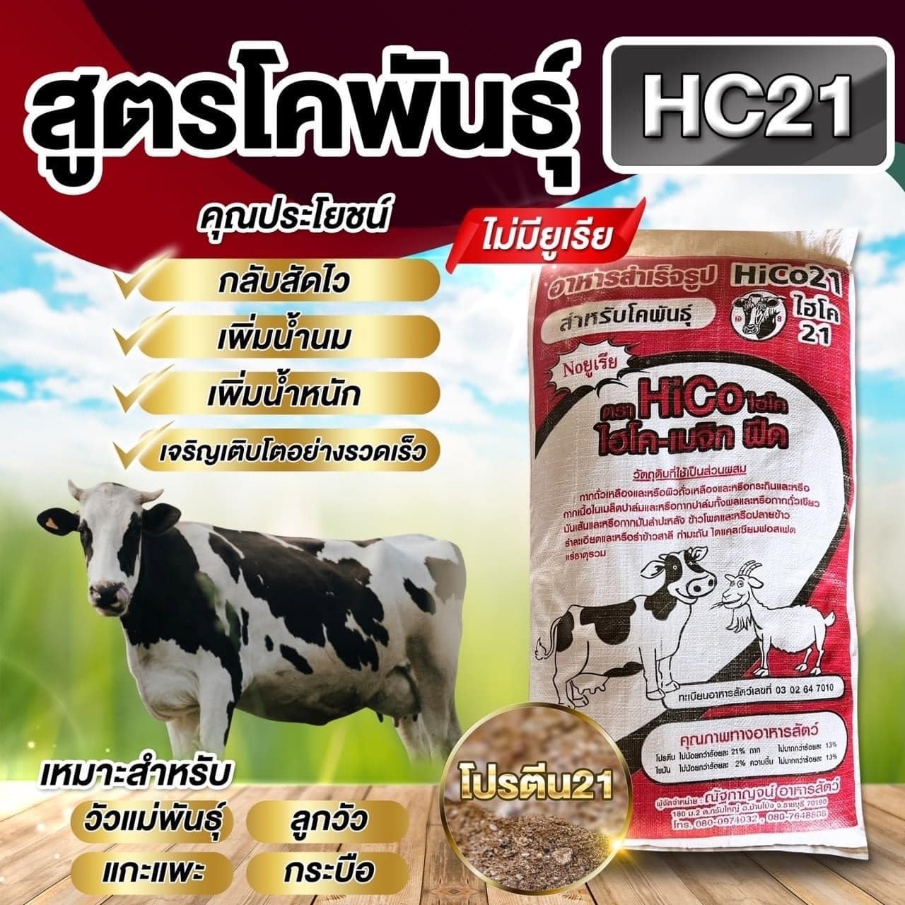 อาหารวัวสูตรโคพันธุ์ HC21