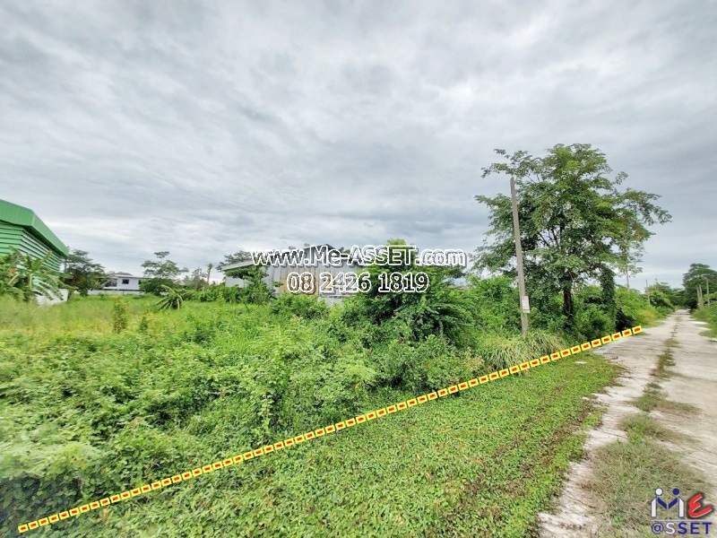 ขายที่ดินเปล่า ย่าน สามพราน ไร่ขิง นครชัยศรี บรมราชชนนี : ออมไทย : 100 ตร.วา (มี 2 แปลงติดกัน)