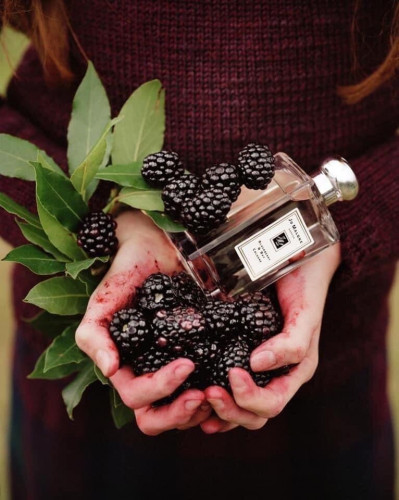 ขนาดทดลอง Jo Malone Blackberry & Bay Cologne 9ml. หัวสเปรย์ (1ขวด)