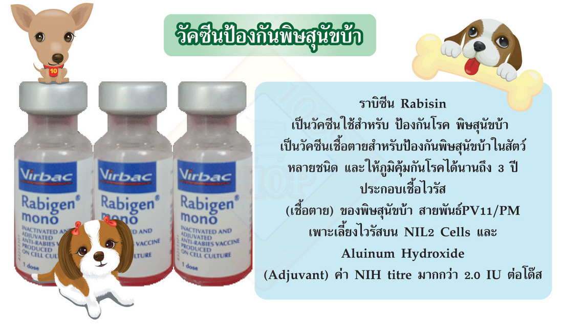 วัคซีนพิษสุนัขบ้า