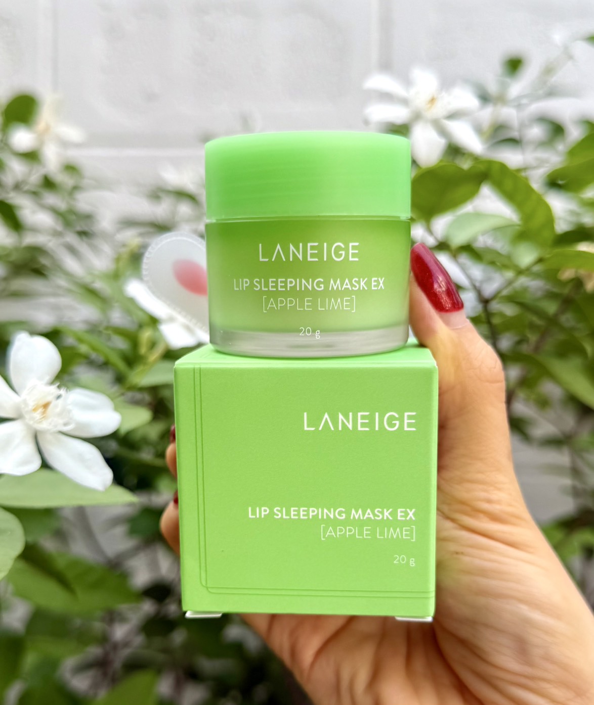 Laneige Sleeping Mask 20g #Apple Lime มาส์กริมฝีปาก กลิ่นแอปเปิ้ลมะนาว