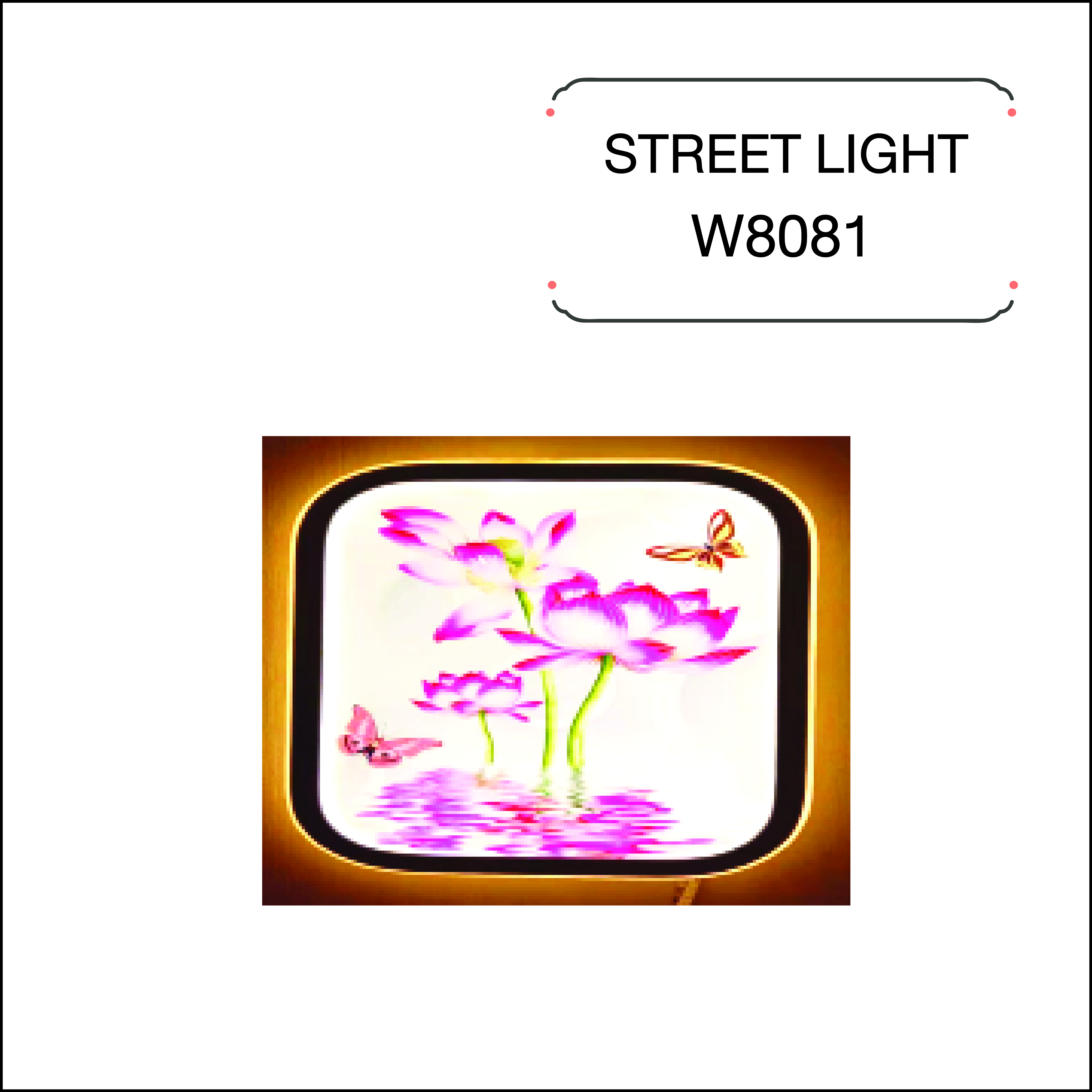 W8081
