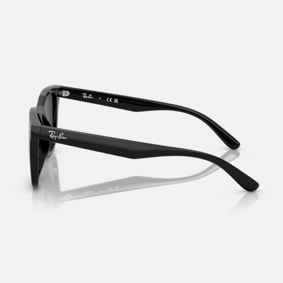 แว่นกันแดด RayBan RB4391D 601/87 Black 65