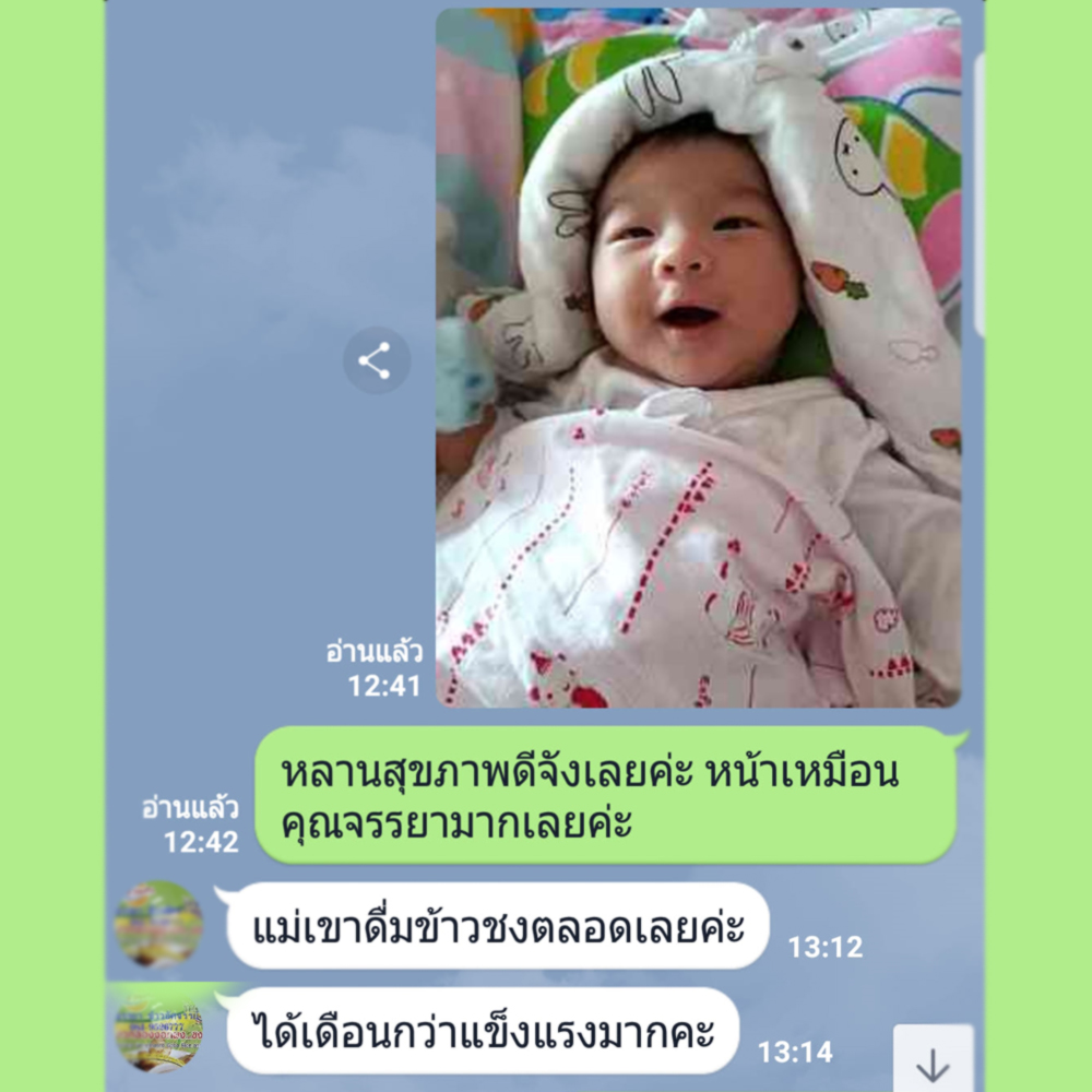 ข้าวกล้องงอกผง ชงดื่ม 6 สายพันธ์ ธัญพืชเพื่อสุขภาพ สำหรับคนสูงวัย [อินทรีย์] อาหารผู้ป่วยเบาหวาน สำเนา