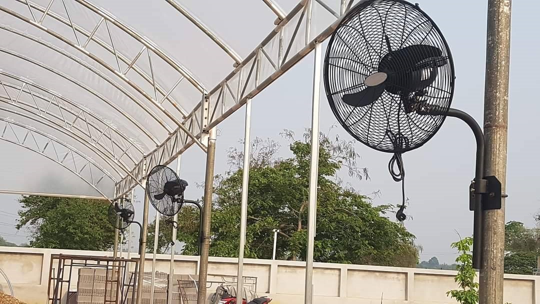 พัดลมใบดำ, FRESH KOOL,Nature, FB-50 20 นิ้ว