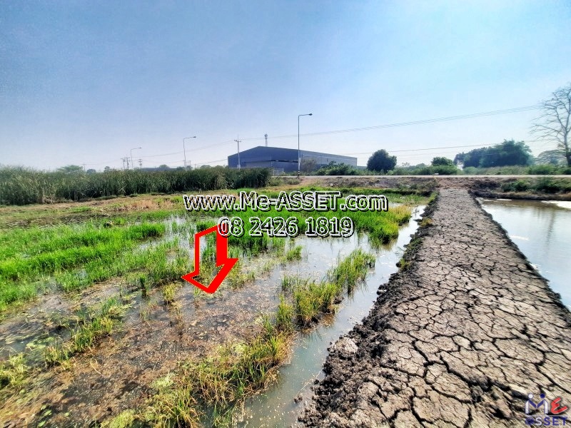 ขายที่ดินติดถนนคอนกรีต ย่าน คลองสิบ บึงทองหลาง ลำลูกกา ปทุมธานี : ใกล้วัดนาป่่าพง : 24-3-41 ไร่