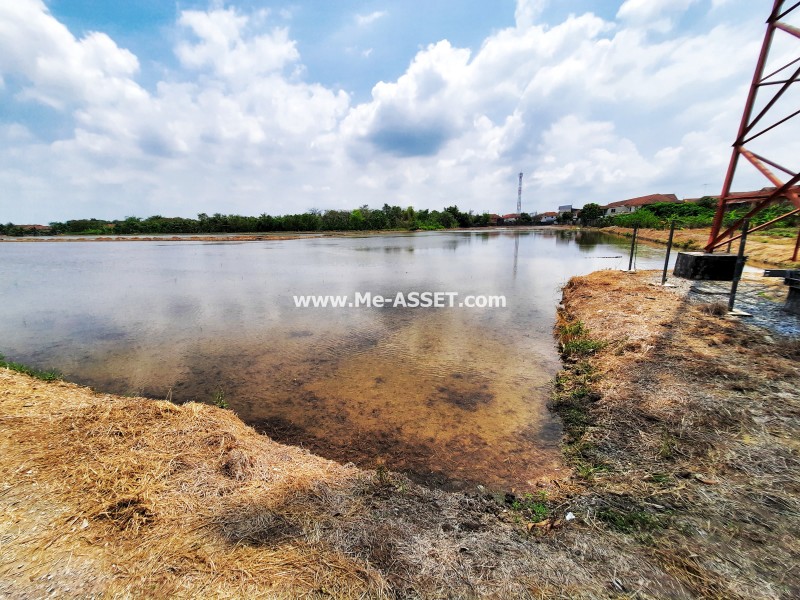 ขายที่ดินเปล่า ถ.เทพนิมิตร-ลานตากฟ้า ซ.ดาวทอง ต.ลานตากฟ้า อ.นครชัยศรี นครปฐม ถูกที่สุดในย่านนี้ / พื้นที่ 6 ไร่