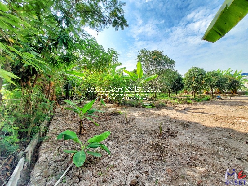 ขายที่ดินถมแล้ว ย่าน ลานตากฟ้า มหาสวัสดิ์ งิ้วราย ดาวทอง : ใกล้ ม.พฤกษา 4 : 200 ตารางวา