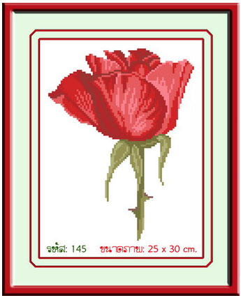 ROSE 3