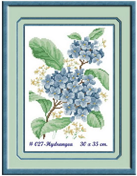 HYDRANGEA