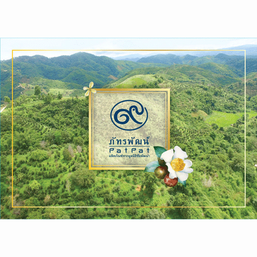 Exp.19/02/2026 Body oil น้ำมันเมล็ดคามีเลีย กลิ่นดอกหอมหมื่นลี้