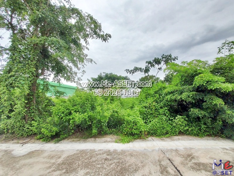 ขายที่ดินเปล่า ย่าน สามพราน ไร่ขิง นครชัยศรี บรมราชชนนี : ออมไทย : 100 ตร.วา (มี 2 แปลงติดกัน)