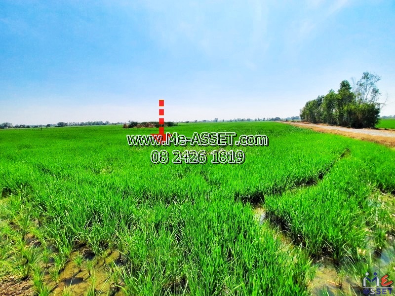 ขายที่ดินเปล่า ย่าน เลียบคลองบ่อสะแกคู้สลอด ไผ่พระ บางไทร อยุธยา : ใกล้วัดสง่างาม และวัดคู้สลอดวุฒิโสภณ : 15-00-41 ไร่