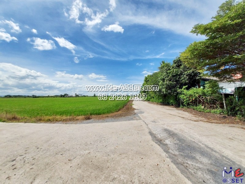 ขายบ้านเดี่ยว พร้อมที่ดิน ย่าน จรเข้สามพัน คงทอง กระจัน อู่ทอง สุพรรณบุรี : ใกล้ปั๊ม ปตท.คงทอง : 1 ชั้น 8-1-3.4 ไร่