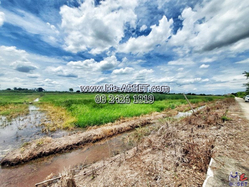 ขายที่ดินเปล่า ย่าน บึงทองหลาง ลำลูกกา คลอง11 : ใกล้บริษัทกิตติแมนูแฟคเจอร์ริ่ง : มี 5 แปลง / 100-200 ตร.วา / ราคาตารางวาละ 4,250 - 5,000 บาท