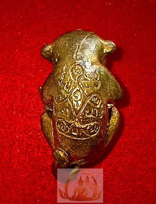 ลูกกรอกแมวดูดรก หลวงปู่คำบุ จ.อุบลราชธานี