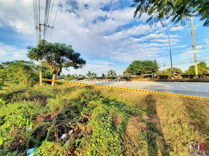 ขายที่ดินเกษตร ย่าน ไร่รถ หนองนา จิกรากข่า หนองแจง ดอนเจดีย์ อำเภอเมือง สุพรรณบุรี : ใกล้ อบต.ไร่รถ : 13 ไร่