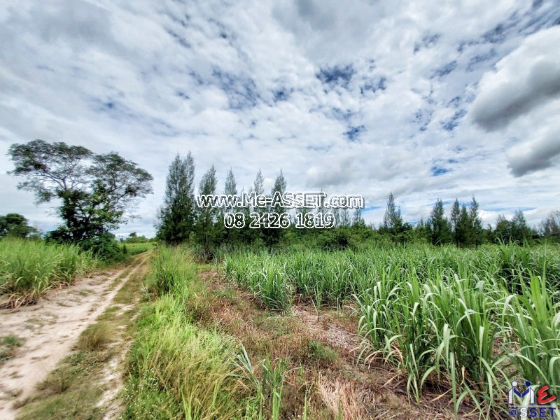 ขายที่ดินเปล่า น.ส.3ก. ย่าน หน่องมะค่า ชัฏป่าหวาย ท่าเคย สวนผึ้ง จอมบึง : ใกล้ พาระเมอรีสอร์ท Paramer Resort : 10 ไร่