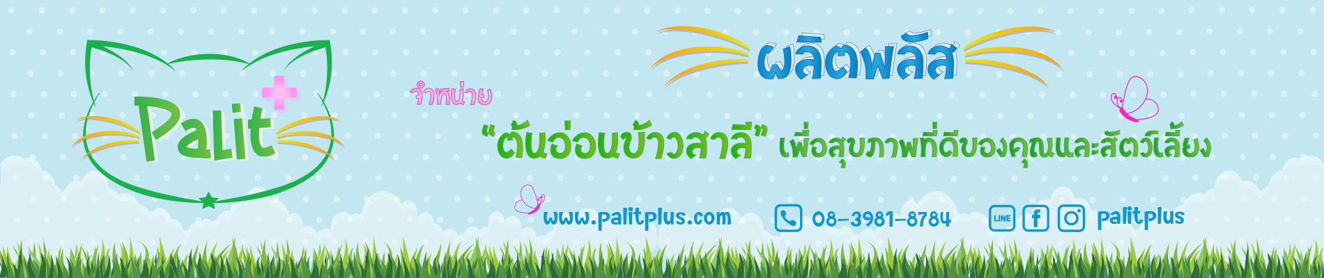 Palit+