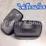 ไฟเลี้ยวแก้มขาวไทเกอร์ D4D